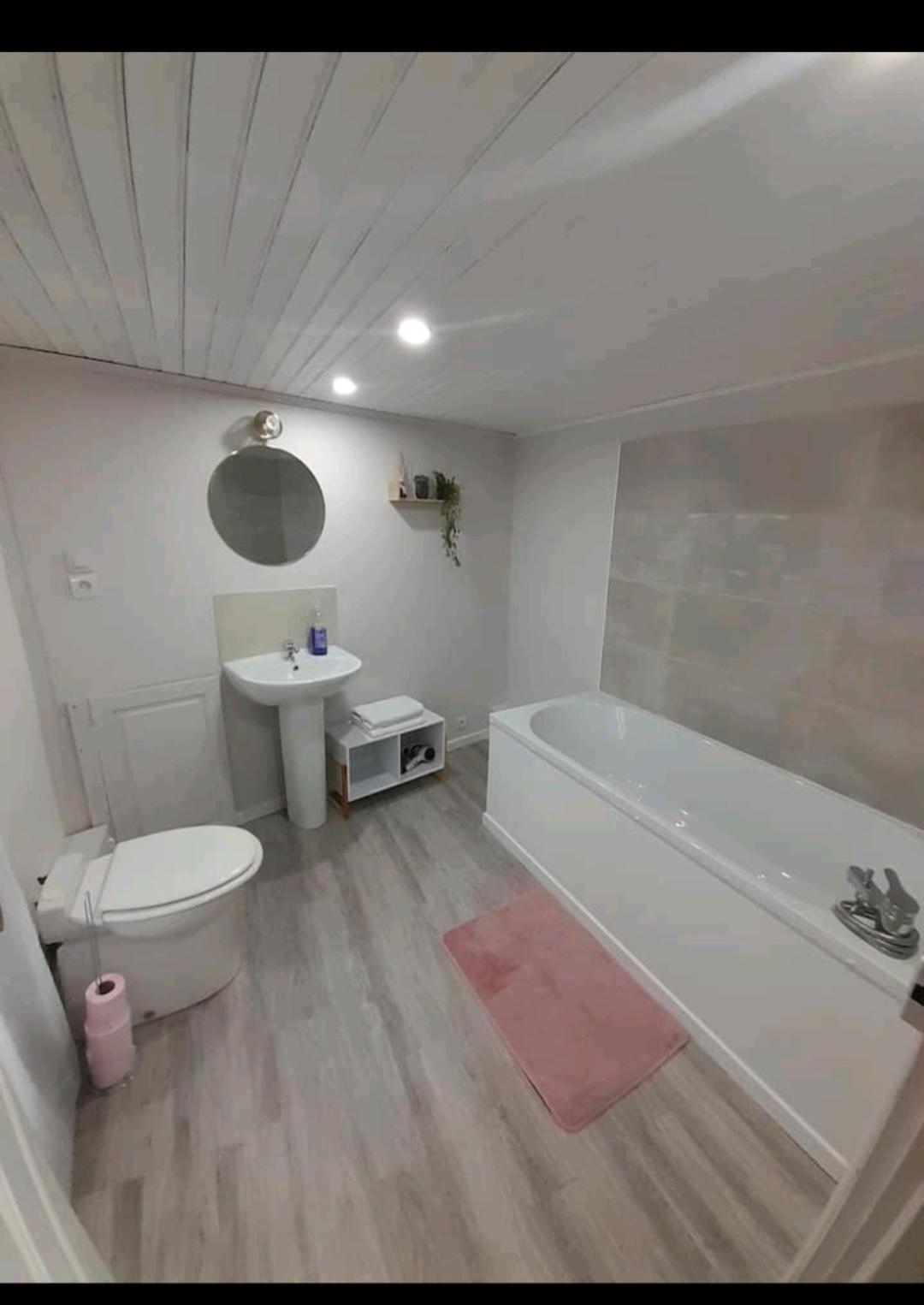 A Mammulejiu Apartment Thiers Luaran gambar
